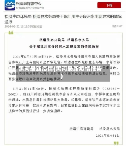 黑河最新疫情(黑河最新疫情报告)