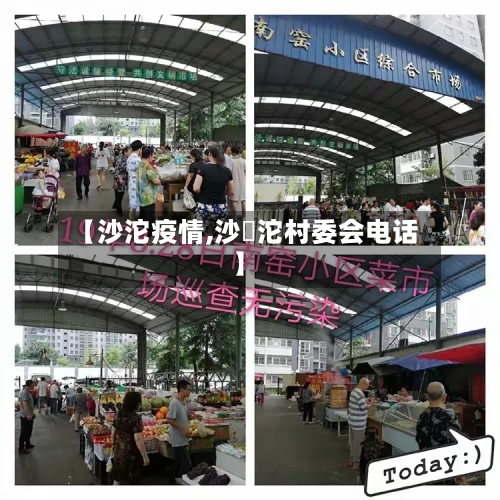 【沙沱疫情,沙泘沱村委会电话】