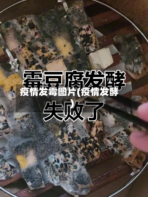 疫情发霉图片(疫情发酵)