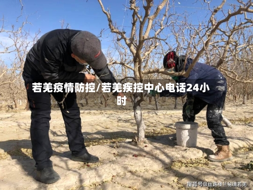 若羌疫情防控/若羌疾控中心电话24小时