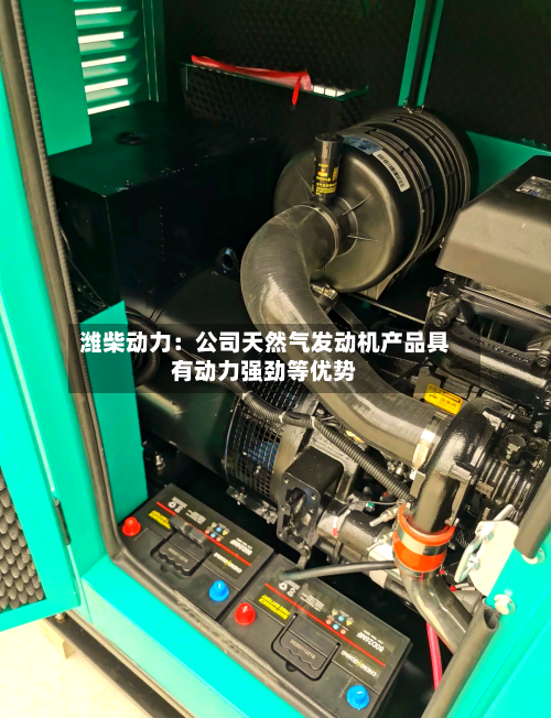 潍柴动力：公司天然气发动机产品具有动力强劲等优势