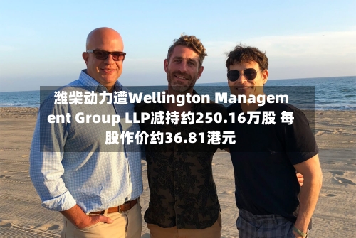 潍柴动力遭Wellington Management Group LLP减持约250.16万股 每股作价约36.81港元