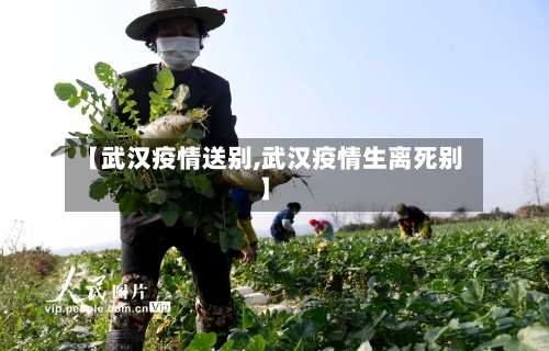【武汉疫情送别,武汉疫情生离死别】
