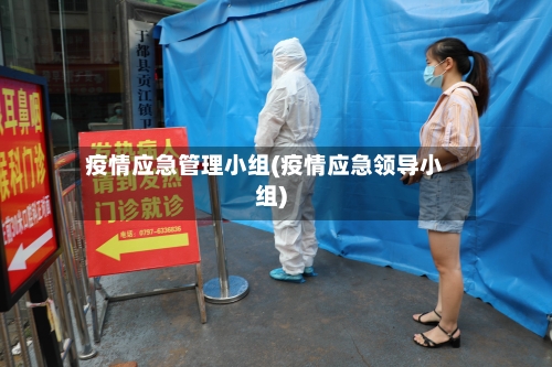 疫情应急管理小组(疫情应急领导小组)