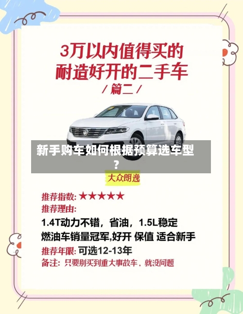 新手购车如何根据预算选车型？