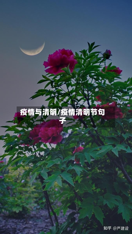疫情与清明/疫情清明节句子