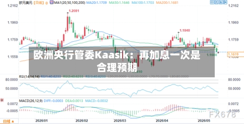 欧洲央行管委Kaasik:再加息一次是合理预期