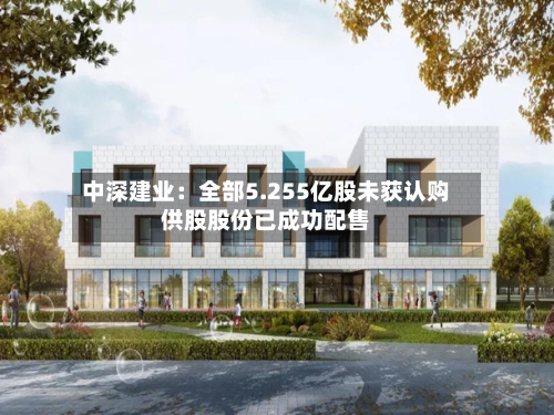 中深建业:全部5.255亿股未获认购供股股份已成功配售-第1张图片