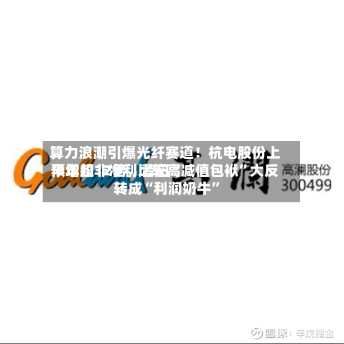 算力浪潮引爆光纤赛道!杭电股份上半年扣非净利比较高
预增超12倍,昔日“减值包袱”大反转成“利润奶牛”