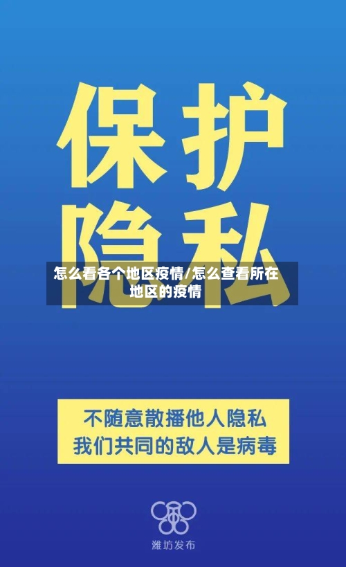 怎么看各个地区疫情/怎么查看所在地区的疫情