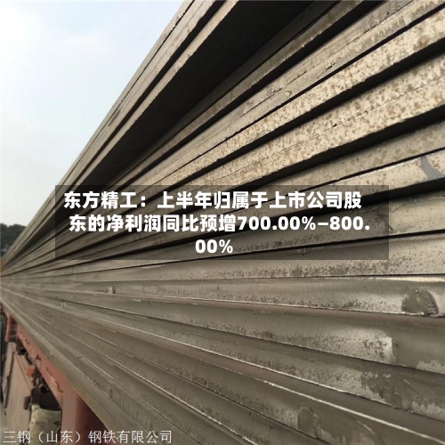 东方精工：上半年归属于上市公司股东的净利润同比预增700.00%—800.00%