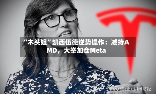 “木头姐”凯西伍德逆势操作:减持AMD,大举加仓Meta