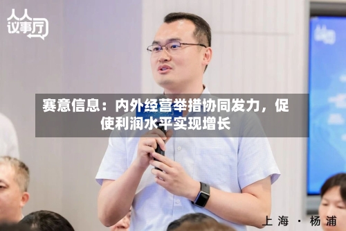 赛意信息:内外经营举措协同发力,促使利润水平实现增长