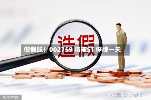 做假账!002759 将被ST 停牌一天