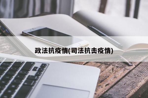 政法抗疫情(司法抗击疫情)