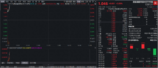 智谱完成314亿港元配售，直线再涨16%！规模最大港股通信息技术ETF华宝（159131）大涨超3%